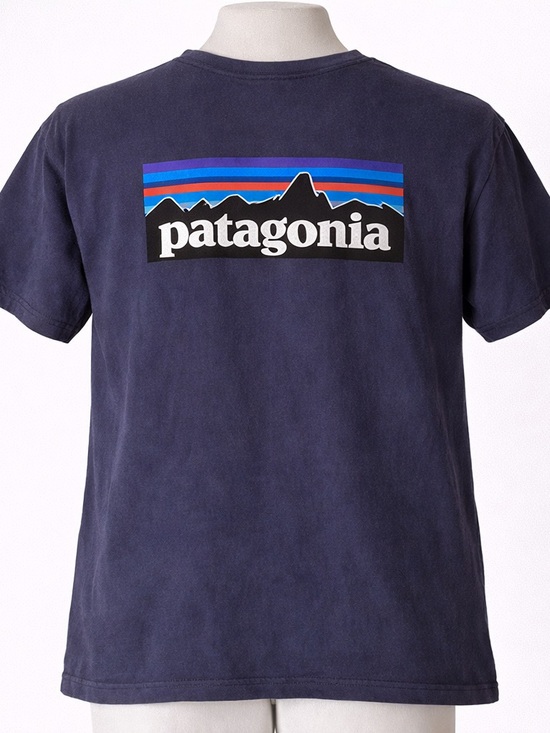 Patagonia Other - Patagonia Responsibili Tee Shirt T-Shirt Men’s Small Navy Blue Box Logo Graphic